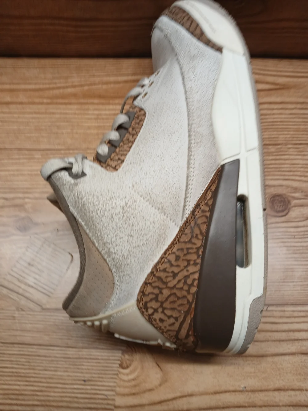 Jordan iconic silhouette